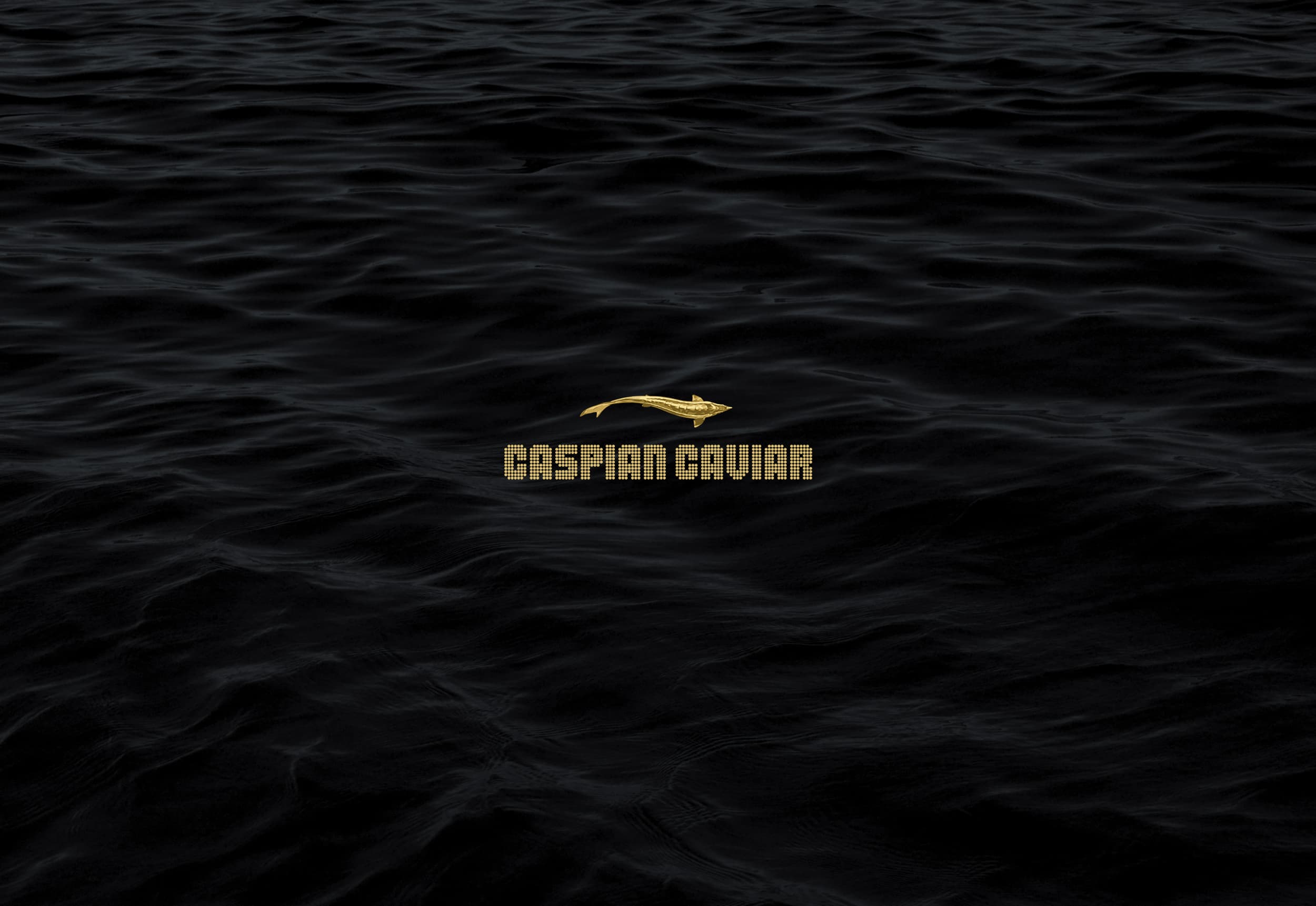 Caspian Vorschau