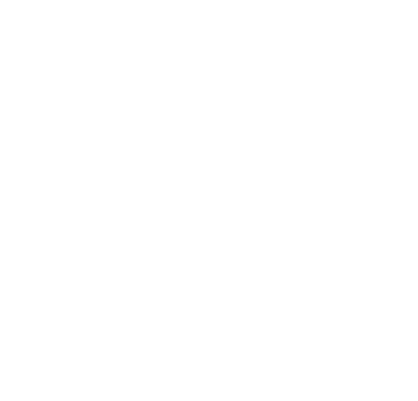 Bellucci Group