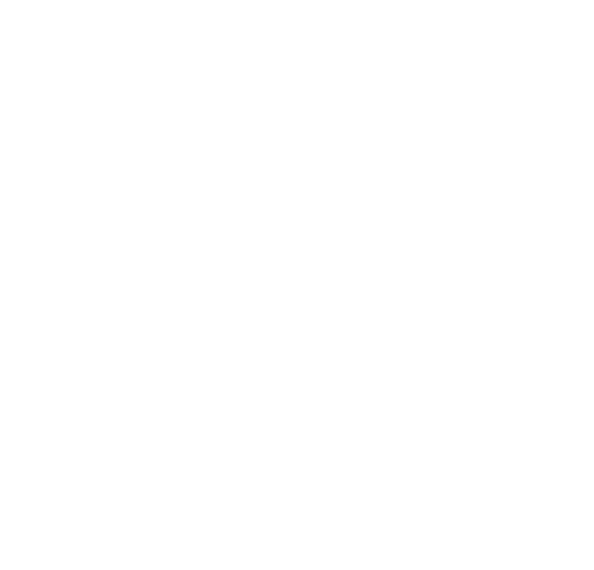 EDISON 45