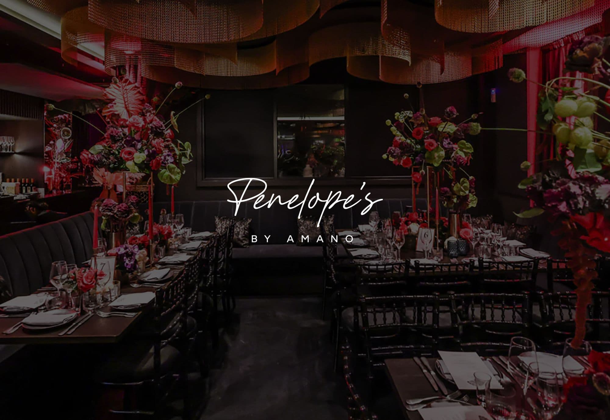Penelope's project preview