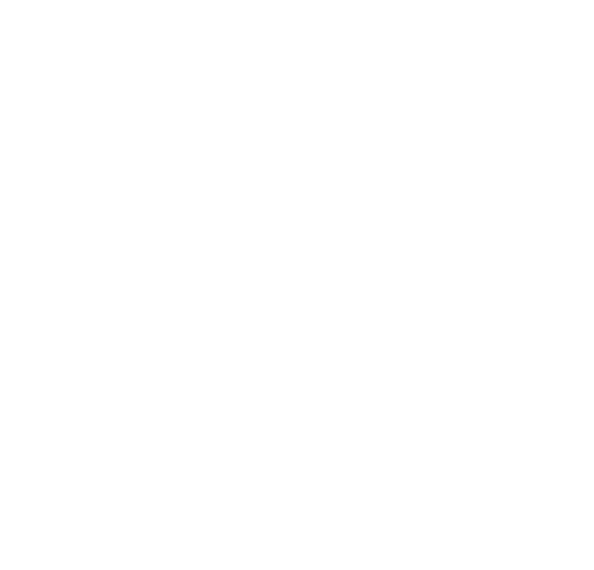 Die Schöne Neun